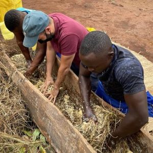 Traditional Brewing a Banana Beer and Tasting